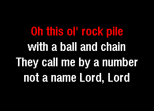 Oh this ol' rock pile
with a ball and chain

They call me by a number
not a name Lord, Lord