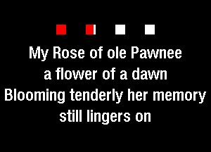 DUDE

My Rose of ole Pawnee
a flower of a dawn

Blooming tenderly her memory
still lingers on