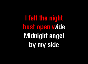 lfelt the night
bust open wide

Midnight angel
by my side