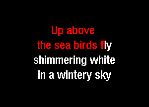 Up above
the sea birds fly

shimmering white
in a wintery sky