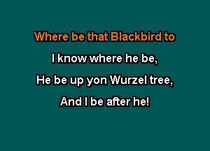 Where be that Blackbird to

I know where he be,

He be up yon Wurzel tree,
And I be after he!