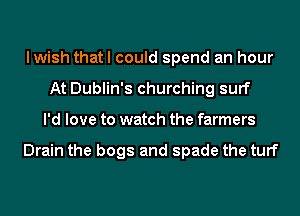 lwish that I could spend an hour
At Dublin's churching surf
I'd love to watch the farmers

Drain the bogs and spade the turf