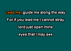 Lead me, guide me along the way

For ifyou lead me I cannot stray
lord just open mine

eyes that I may see