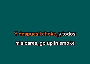 Y despues l choke, ytodos

mis cares. go up in smoke