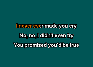 I never ever made you cry

No, no, I didn't even try

You promised you'd be true