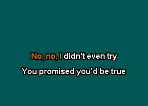 No, no, I didn't even try

You promised you'd be true