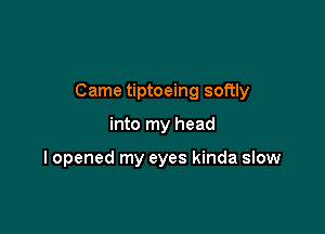 Came tiptoeing softly

into my head

I opened my eyes kinda slow