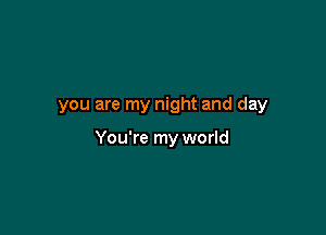you are my night and day

You're my world