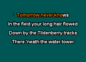 ' Tomorrow never knows

In the field your long hair flowed

Down by the Tildenberry tracks

There 'neath the water tower