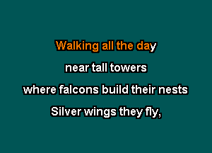 Walking all the day
near tall towers

where falcons build their nests

Silver wings they fly,