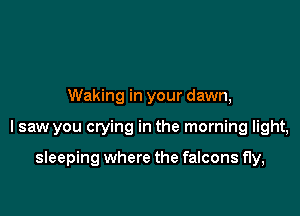 Waking in your dawn,

I saw you crying in the morning light,

sleeping where the falcons fly,