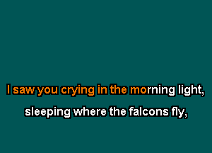 I saw you crying in the morning light,

sleeping where the falcons fly,