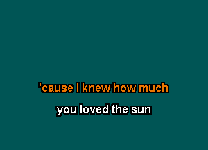'cause I knew how much

you loved the sun