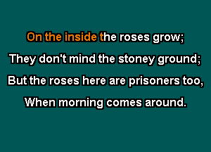 0n the inside the roses growe
They don't mind the stoney grounde
But the roses here are prisoners too,

When morning comes around.