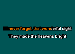 I'll never forget, that wonderful sight

They made the heavens bright
