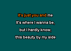 it'sjust you and me
It's where I wanna be,

but I hardly know,

this beauty by my side