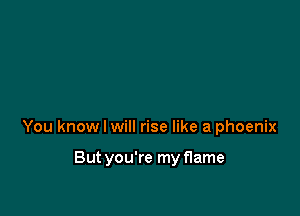 You know I will rise like a phoenix

Butyou're my flame