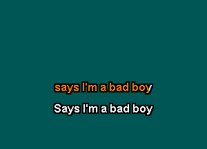 says I'm a bad boy

Says I'm a bad boy