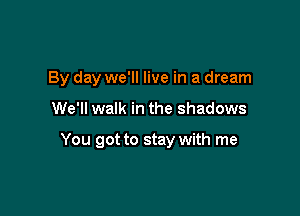 By day we'll live in a dream

We'll walk in the shadows

You got to stay with me