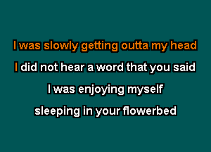 I was slowly getting outta my head
I did not hear a word that you said
lwas enjoying myself

sleeping in your flowerbed