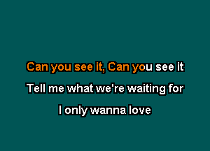 Can you see it, Can you see it

Tell me what we're waiting for

I only wanna love