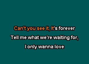 Can't you see it, It's forever

Tell me what we're waiting for,

I only wanna love