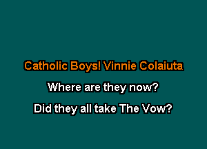 Catholic Boys! Vinnie Colaiuta

Where are they now?
Did they all take The Vow?
