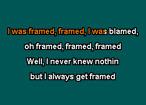 I was framed, framed, I was blamed,
oh framed, framed, framed
Well, I never knew nothin

but I always get framed