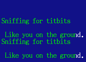 Sniffing for titbits

Like you on the ground.
Sniffing for titbits

Like you on the ground.