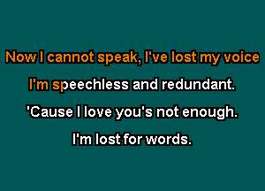 Now I cannot speak, I've lost my voice
I'm speechless and redundant.
'Cause I love you's not enough.

I'm lost for words.