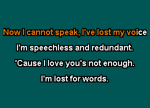 Now I cannot speak, I've lost my voice
I'm speechless and redundant.
'Cause I love you's not enough.

I'm lost for words.