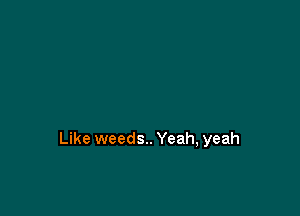 Like weeds.. Yeah, yeah
