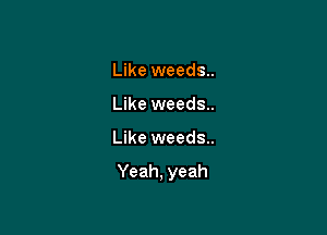 Like weeds..
Like weeds..

Like weeds..

Yeah, yeah