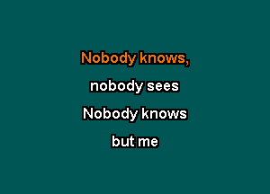 Nobody knows,

nobody sees

Nobody knows

but me