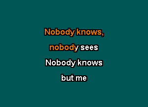 Nobody knows,

nobody sees

Nobody knows

but me
