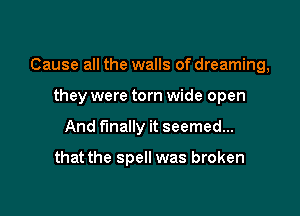 Cause all the walls of dreaming,

they were torn wide open
And finally it seemed...

that the spell was broken