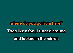 where do you go from here

Then like a fool, Itumed around

and looked in the mirror.