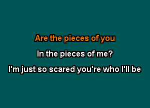 Are the pieces ofyou

In the pieces of me?

I'm just so scared you're who I'll be