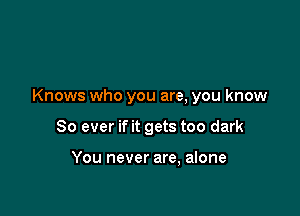Knows who you are, you know

So ever if it gets too dark

You never are, alone