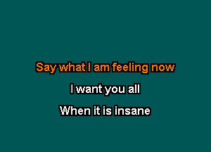 Say what I am feeling now

I want you all

When it is insane