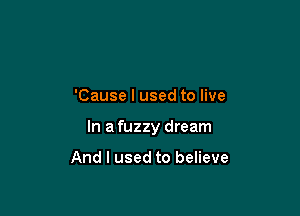 'Cause I used to live

In a fuzzy dream

And I used to believe