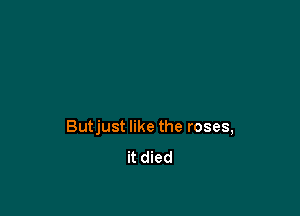 Butjust like the roses,
it died