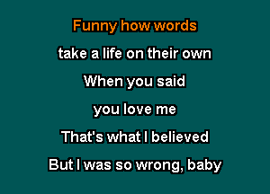 Funny how words
take a life on their own
When you said
you love me

That's whatl believed

But I was so wrong, baby