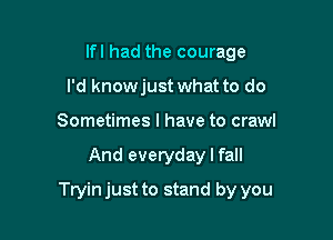 lfl had the courage
I'd knowjust what to do
Sometimes I have to crawl

And everyday I fall

Tryin just to stand by you