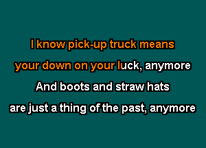 I know pick-up truck means
your down on your luck, anymore
And boots and straw hats

are just a thing of the past, anymore