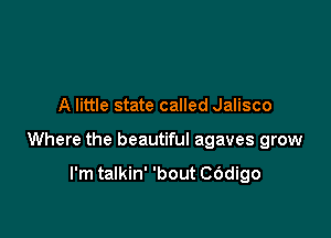 A little state called Jalisco

Where the beautiful agaves grow

I'm talkin' 'bout COdigo