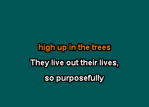 high up in the trees

They live out their lives,

so purposefully