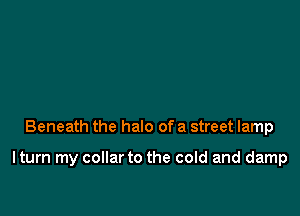 Beneath the halo of a street lamp

Iturn my collar to the cold and damp