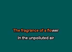 The fragrance of a flower

In the unpolluted air