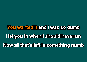 You wanted it and I was so dumb
I let you in when I should have run

Now all that's left is something numb